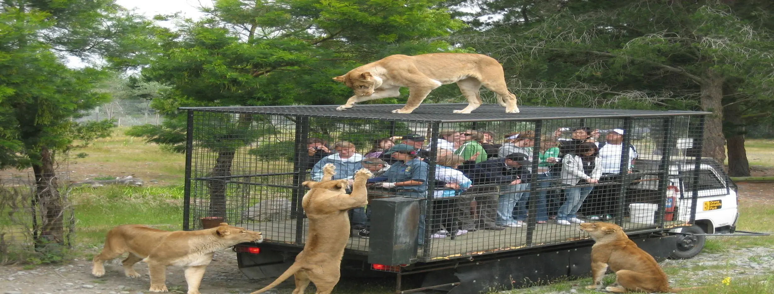 Image for Urumqi Zoo